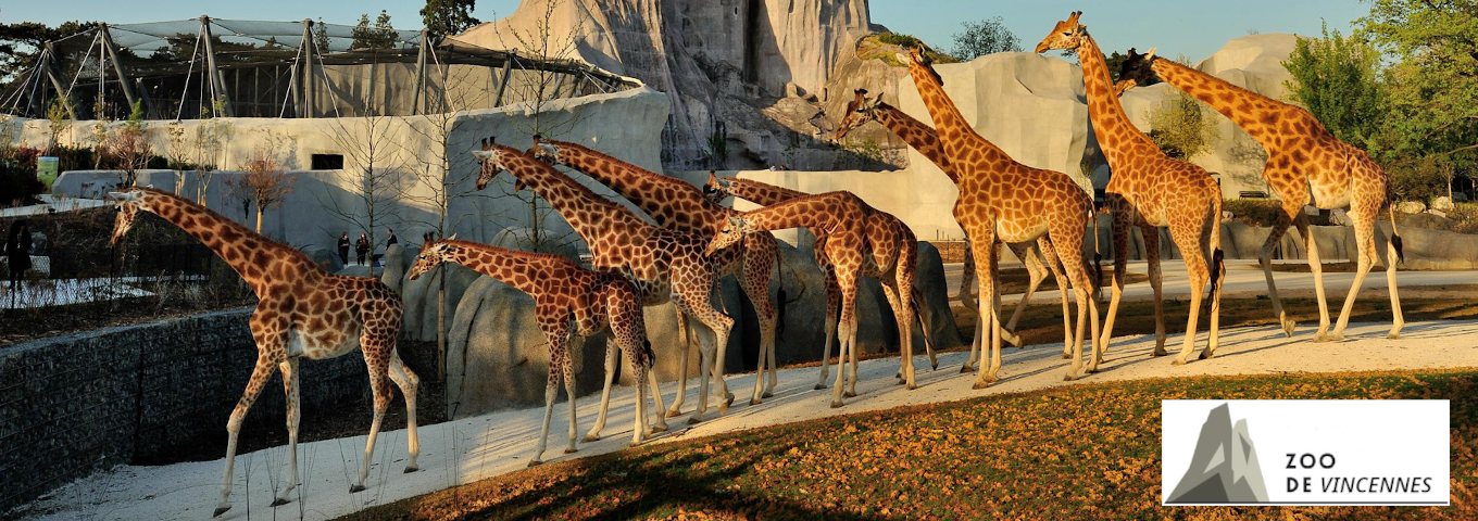 Illustration de l'article : Zigouplex visite le zoo de Vincennes